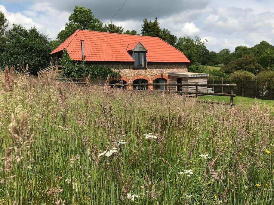 HemyockBurleyhayes Barn - Secluded Devon Hideaway.别墅 外观 照片